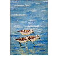 Sandpiper Race Guest Towel