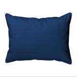 Sailfish - Teal Corded Pillow