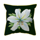 Casablanca Lily - Black Background Corded Pillow