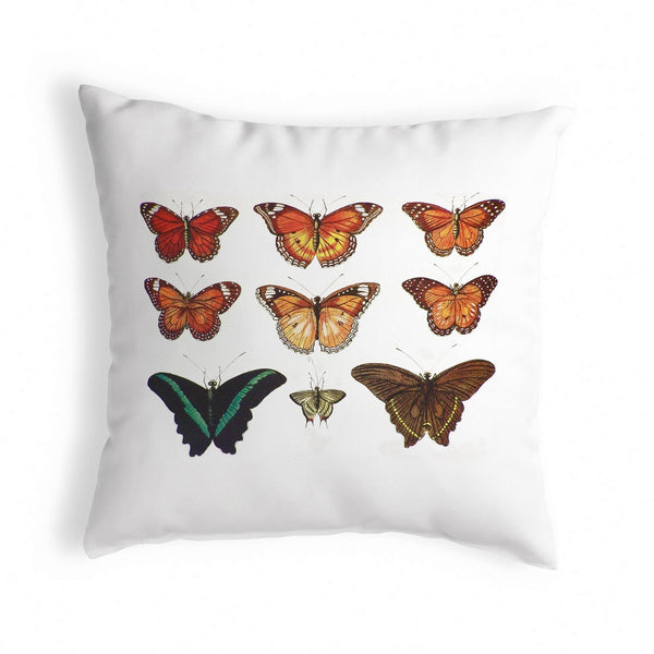 Multi Butterflies Red and Orange Antique Print Noncorded Pillow