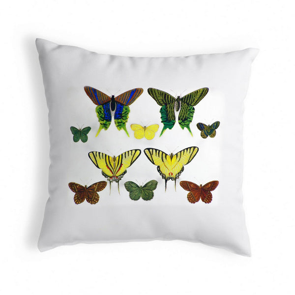 Multi Butterflies Green and Yellow Antique Print Noncorded Pillow