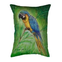 Blue Macaw Noncorded Pillow