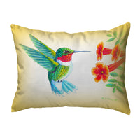 Dick's Hummingbird Noncorded Indoor/Outdoor Pillow