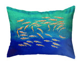 Schooling Fish No-Cord Pillow