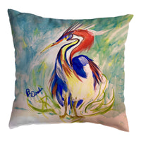 Wacky Louisiana Heron No-Cord Pillow