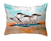 Three Terns No-Cord Pillow