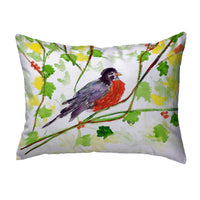 Robin Pillow