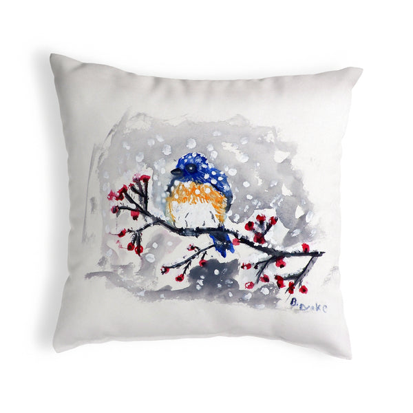 Blue Bird & Snow Pillow