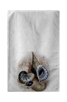 Antique Sea Shells Kitchen Towel