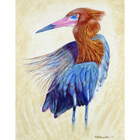 Reddish Egret Portrait Kitchen Towel