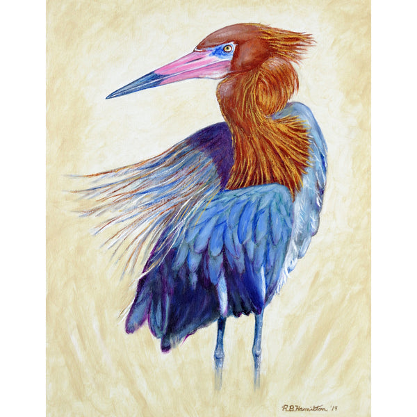 Reddish Egret Portrait Kitchen Towel