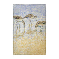 Willet Sandpipers Feeding Kitchen Towel