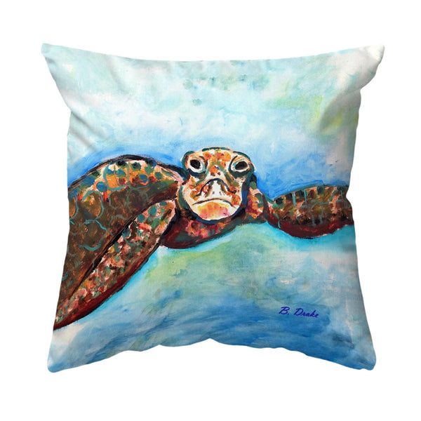 Turtle Looking At Me Noncorded Pillow