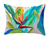 Bird of Paradise No-Cord Pillow