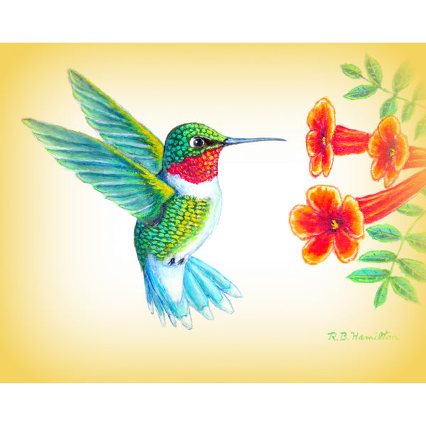 Dick's Hummingbird Place Mat Set of 4