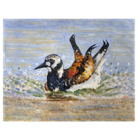 Beach Bird Bath Place Mat Set of 4