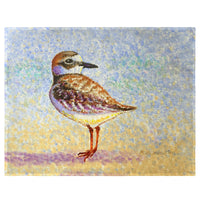 Wilson's Plover Place Mat Set of 4