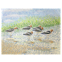 Summer Avocets Place Mat Set of 4