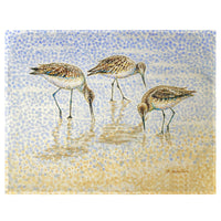 Willet Sandpipers Feeding Place Mat Set of 4