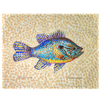 Pumpkinseed Fish Place Mat Set of 4