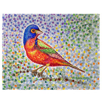 Painted Bunting Place Mat Set of 4