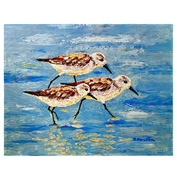 Sandpiper Race Place Mat Set of 4