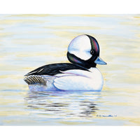 Bufflehead Duck Place Mat Set of 4