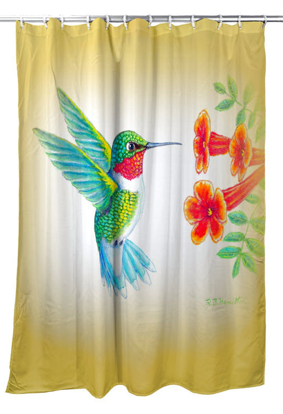 Dick's Hummingbird Shower Curtain