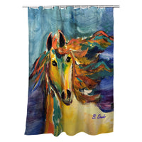 Colorful Horse Shower Curtain