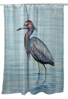 Dick's Little Blue Heron Shower Curtain