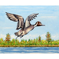 Pintail Duck Outdoor Wall Hanging 24x30