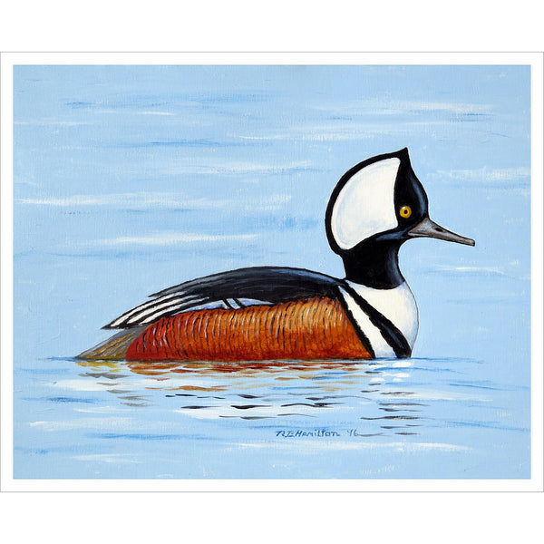 Hooded Merganser Outdoor Wall Hanging 24x30