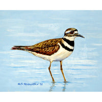 Killdeer Outdoor Wall Hanging 24x30