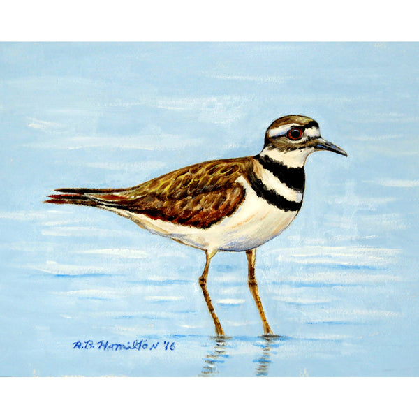 Killdeer Outdoor Wall Hanging 24x30